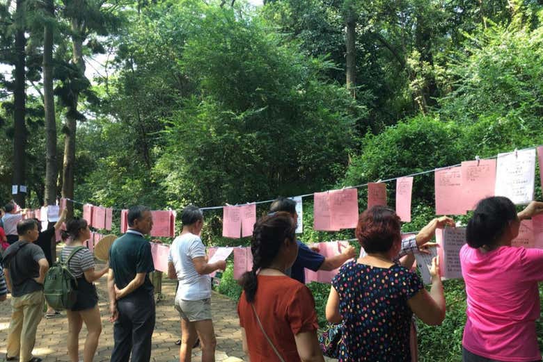 Alla scoperta delle tradizioni di Chengdu