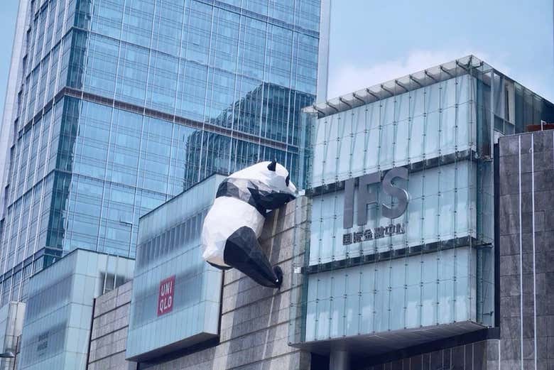 A figura de um urso panda pendurada no prédio da IFS