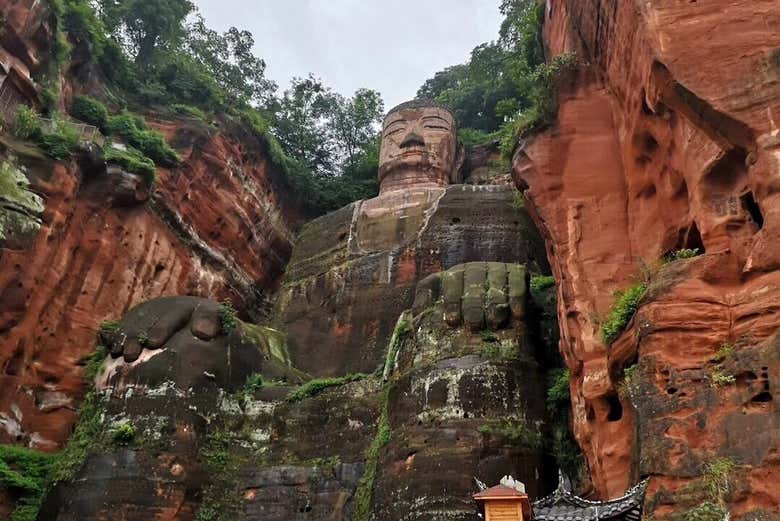 Il Grande Buddha visto dal basso