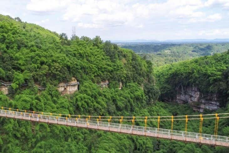 Passarelas com vistas do Mar de Bambu