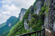 Jinfo Shan Mountain Private Day Trip