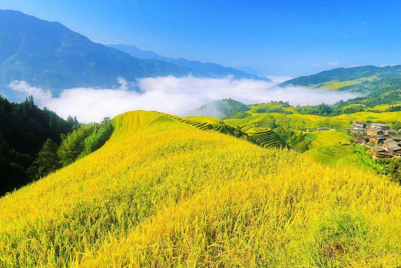 Los campos de arroz de Longsheng