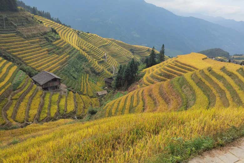 Le paysage varie d'une saison à l'autre