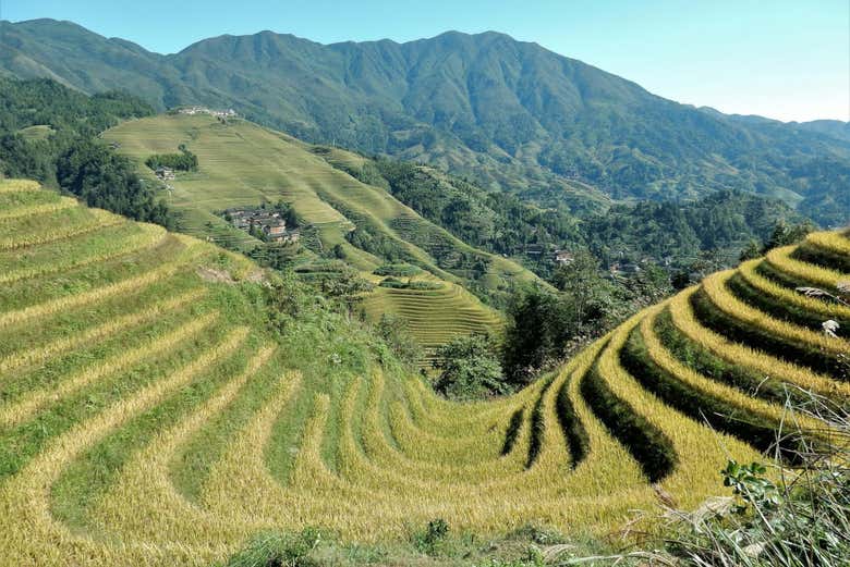 Las terrazas de arroz de Guilin