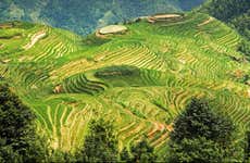 Excursión a las terrazas de arroz y aldeas de Longji