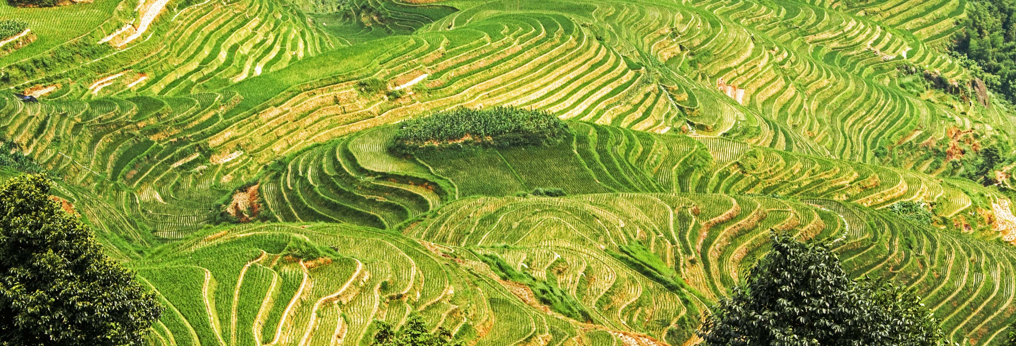 Excursiones de un día en Guilin