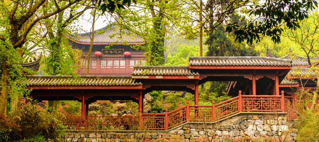 Excursão privada ao Templo de LingYin e Lago do Oeste