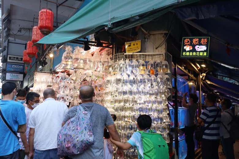 Gold Fish Market di Hong Kong