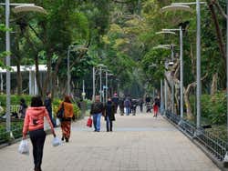 Victoria Park