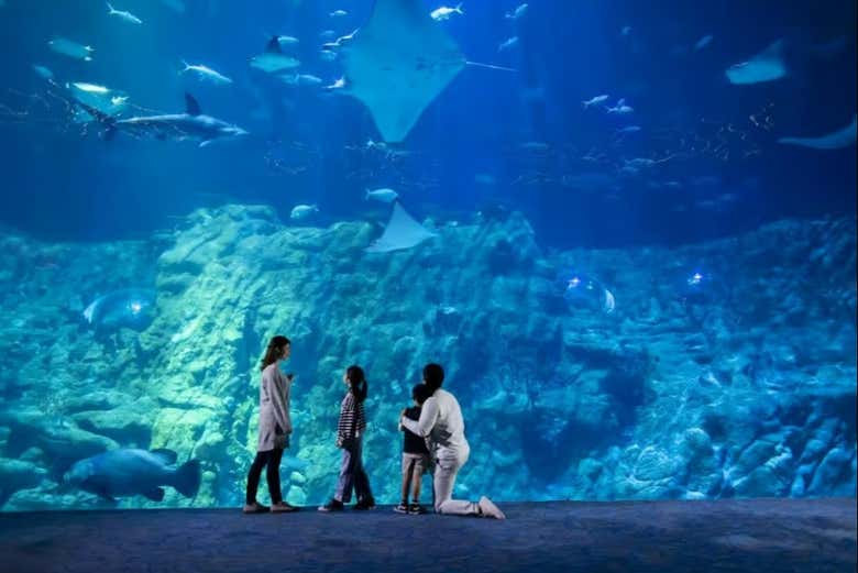 Visitando o aquário do Ocean Park