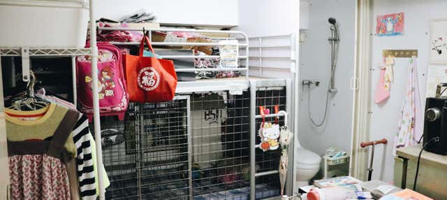 Visita guiada por Mong Kok