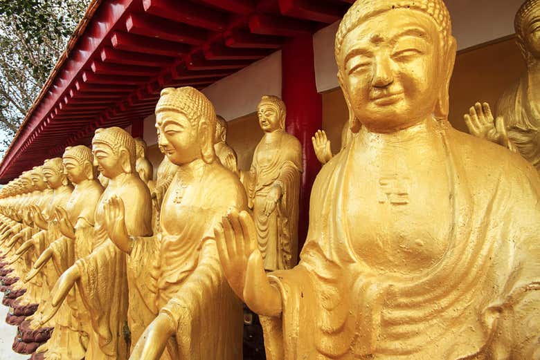 Las estatuas del templo