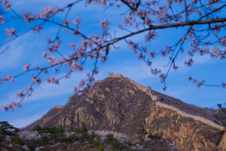 Discover fascinating details about the Great Wall of China