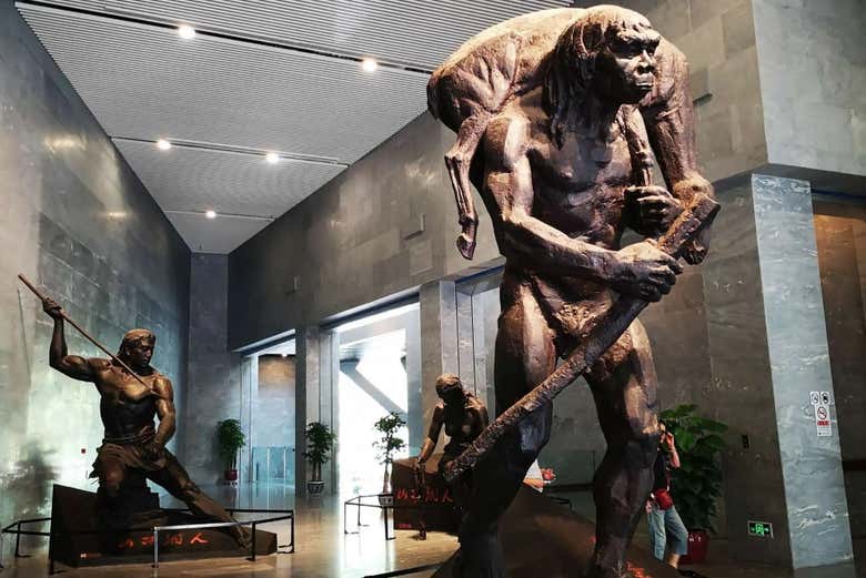 Gain a deeper insight into huma evolution