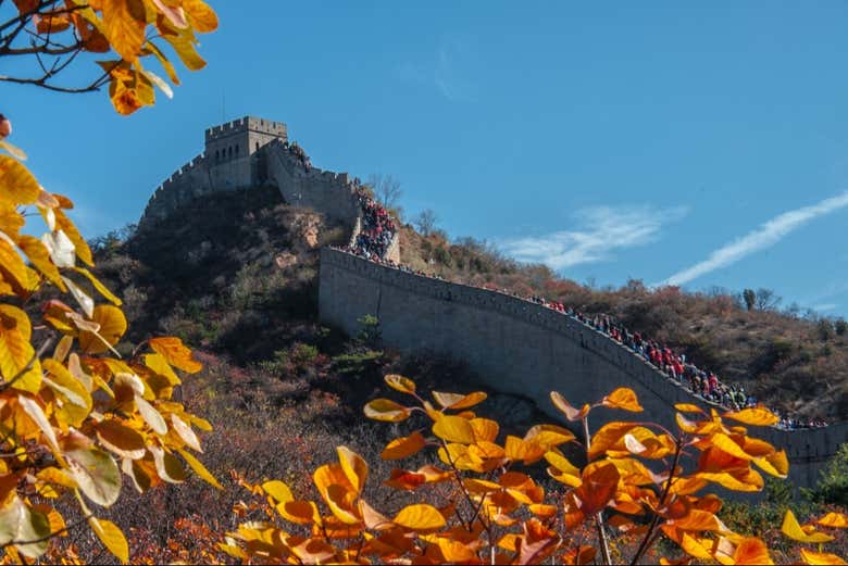 Panorámica de la Gran Muralla de Badaling 