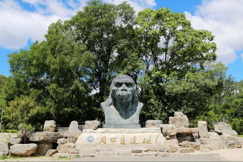 Discover beautiful landscapes