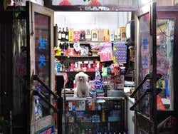 Loja curiosa em um hutong