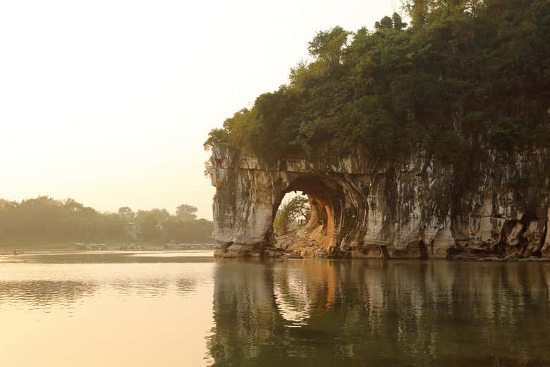 Proboscide dell'Elefante, Guilin