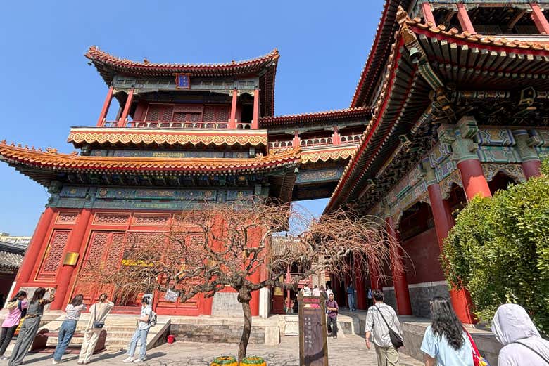 Visitando o espetacular Templo dos Lamas