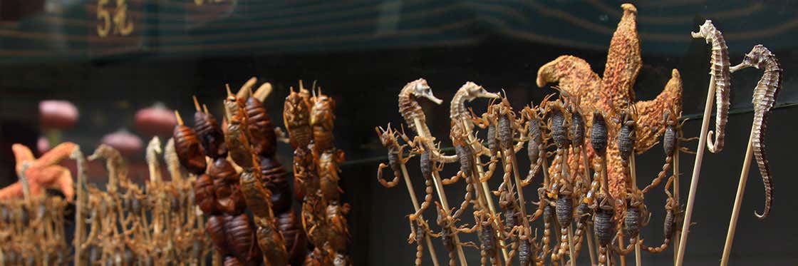 Where to eat in Beijing