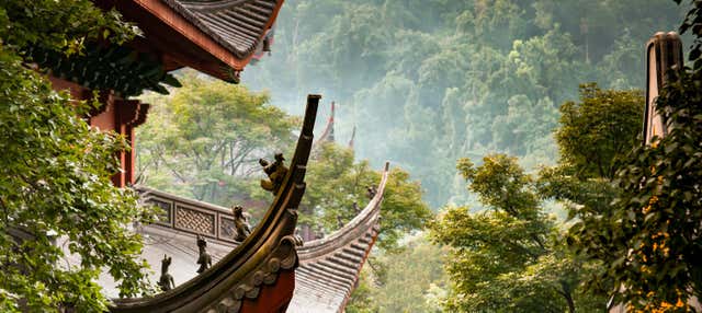 Excursión privada a Hangzhou