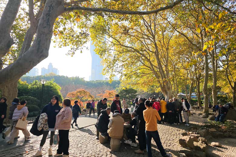 Descubriremos la belleza de los parques de Shanghái