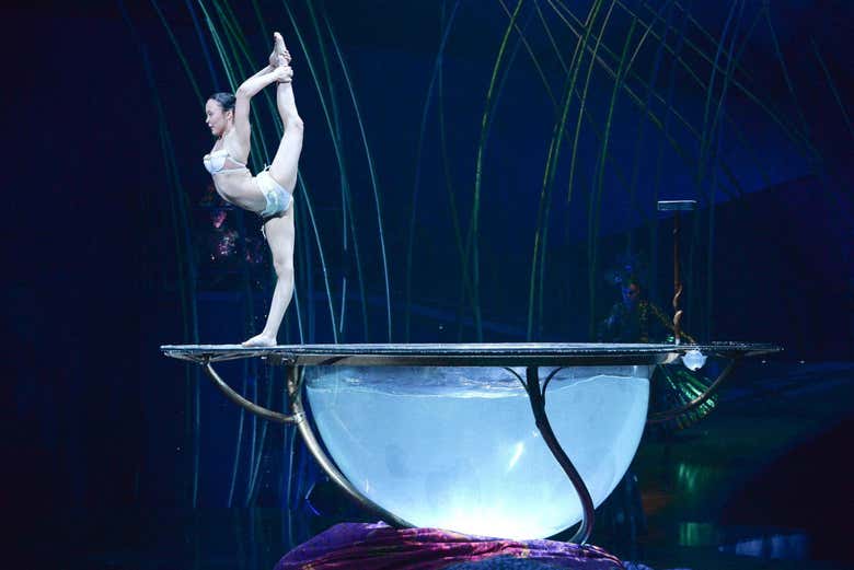 Spectacle acrobatique Spiral