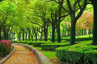 Century Park