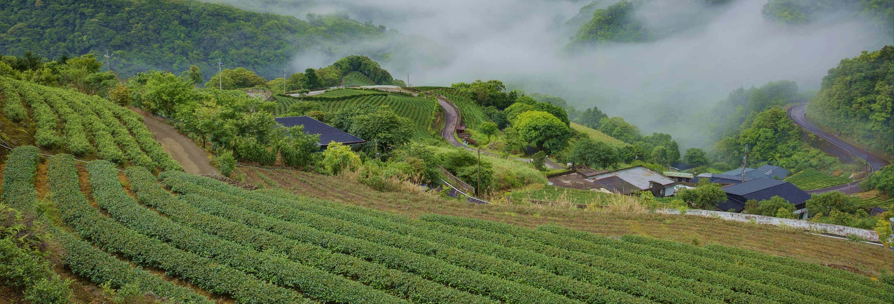 Excursões de um dia em Taipei