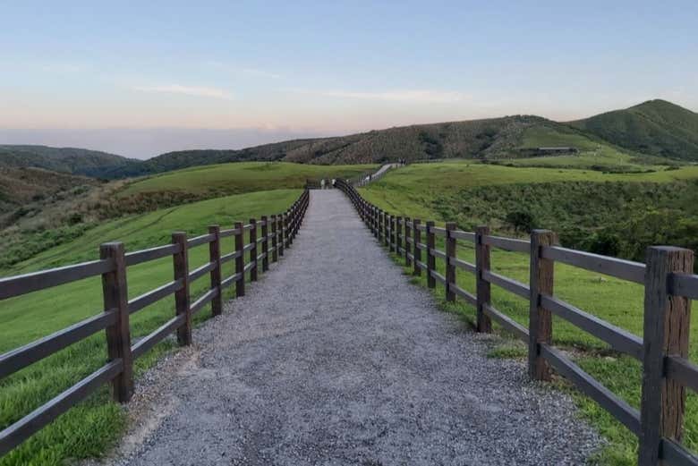 Desfrutando de um passeio agradável