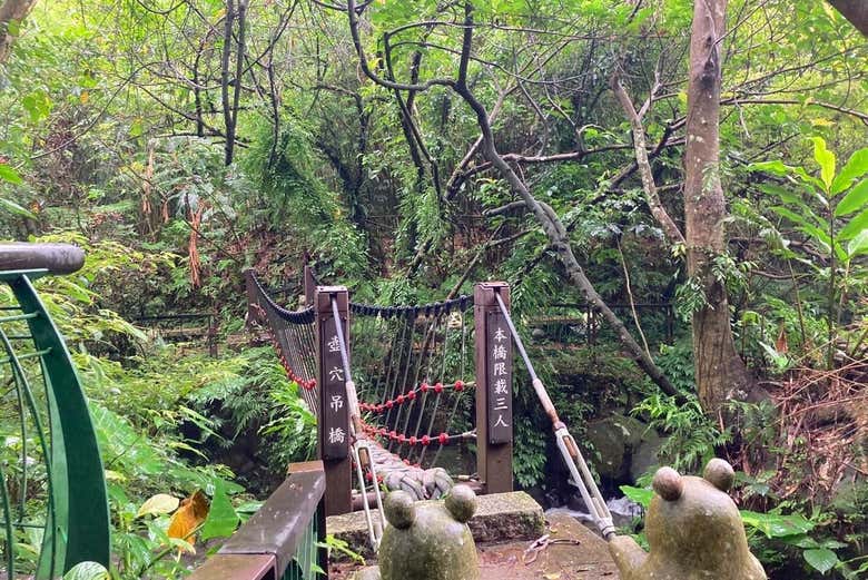 Learn about the tea cultivation in Maokong