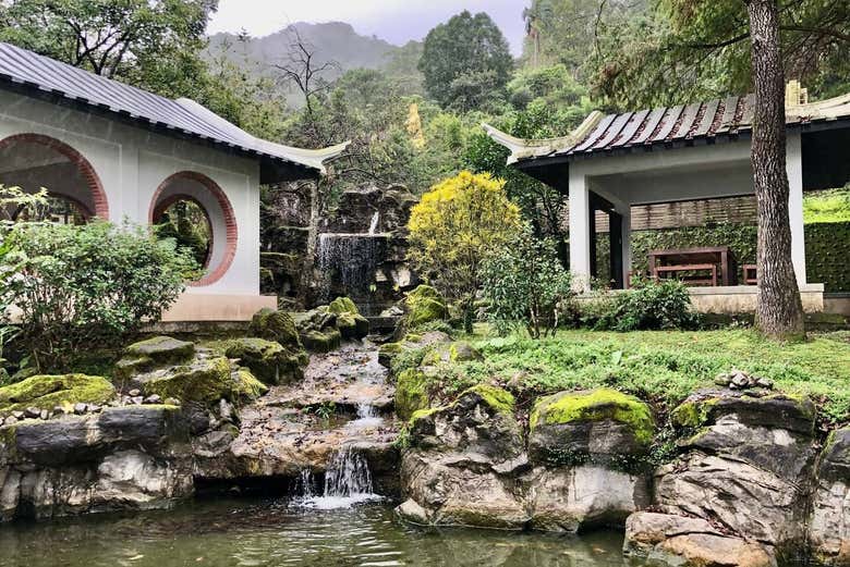 Visit the Pinglin Tea Museum