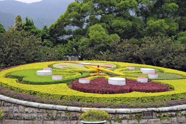 Check out the flower clock