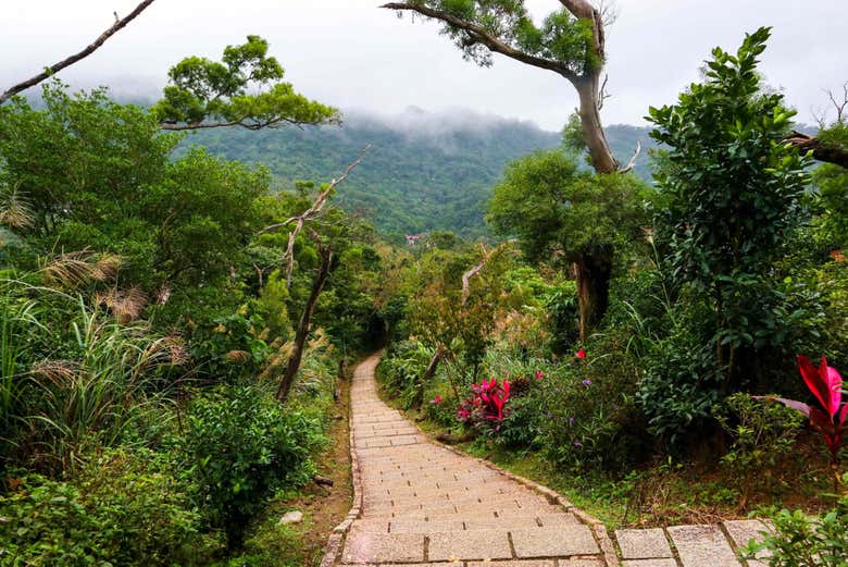 Caminho na Montanha do Elefante