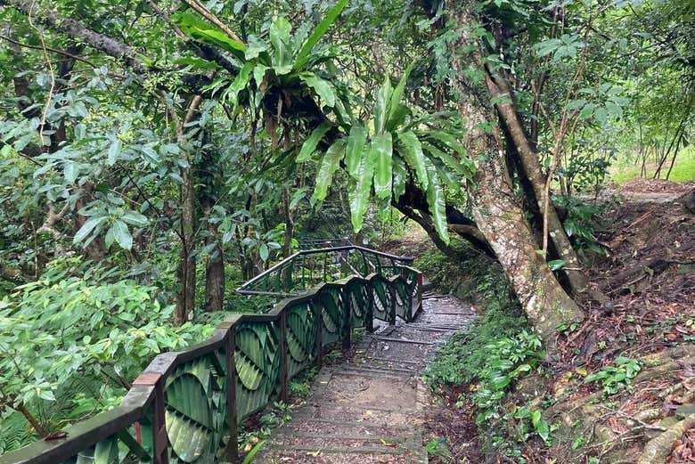 Spend the day in close contact with the local flora
