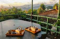 Tea Tour in Pinglin and Maokong