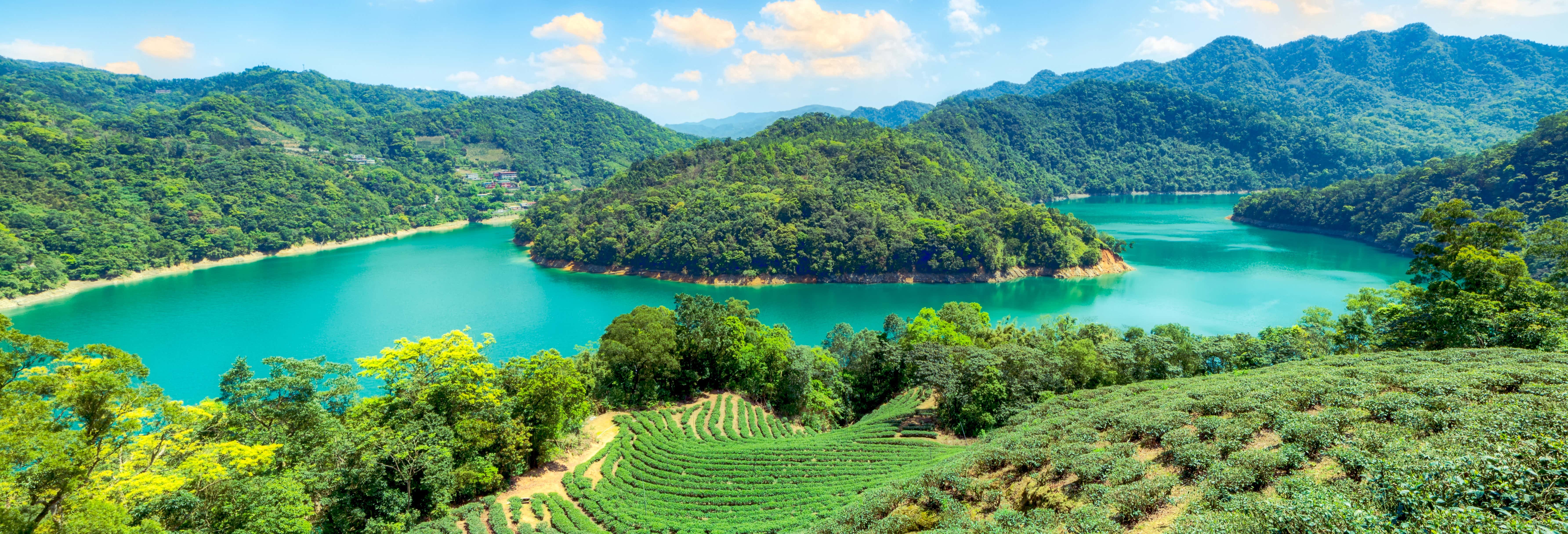 Gastronomía y enoturismo en Taipéi