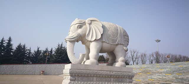 Excursión privada al Templo Famen y Mausoleo de Qianling