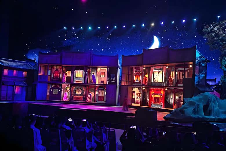 Disfrutaréis del espectáculo en asientos giratorios