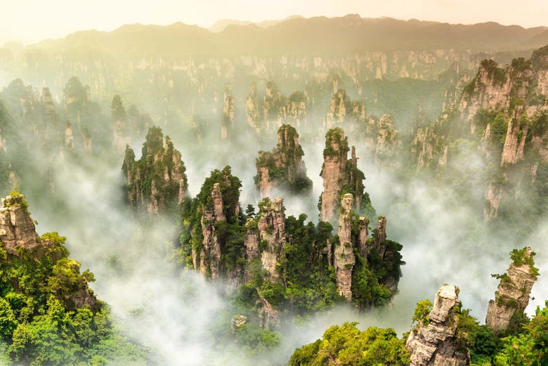 Landscapes that inspired Avatar