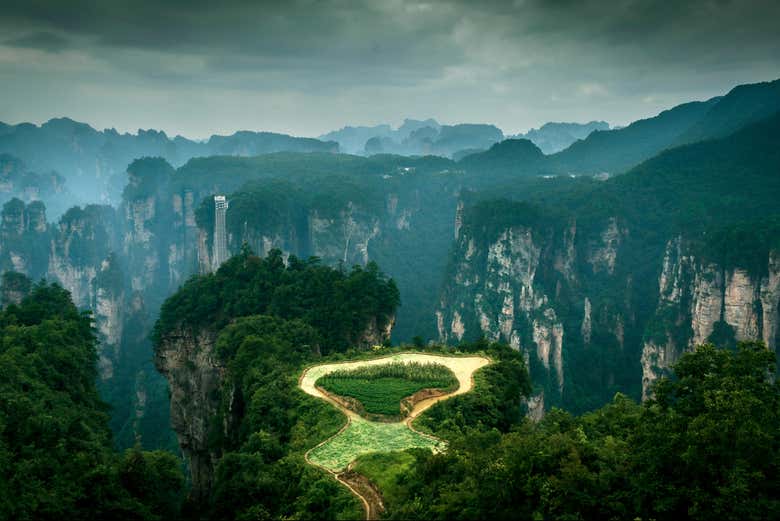 A impressionante paisagem do Parque Florestal de Zhangjiajie