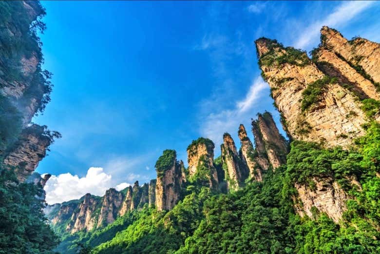 Podréis pasear tranquilamente entre las montañas de Avatar