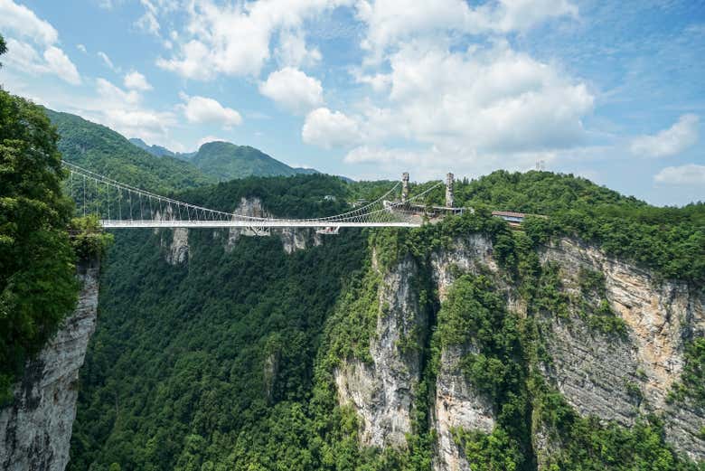 A ponte de vidro no Parque Florestal de Zhangjiajie