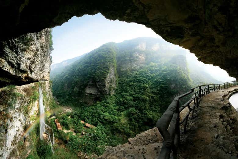 Exuberante vegetación del Gran Cañón de Zhangjiajie