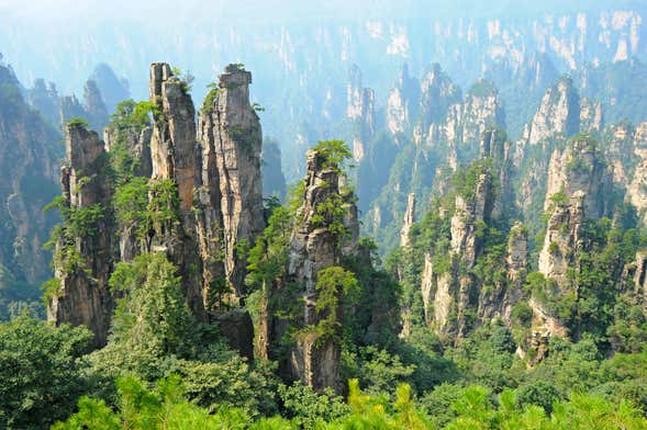 Tour de 3 días por Zhangjiajie
