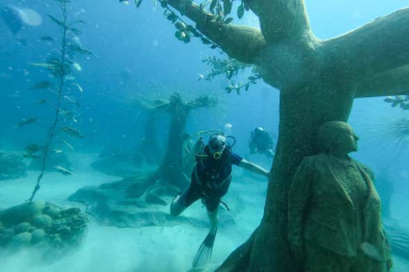 MUSAN Underwater Experience