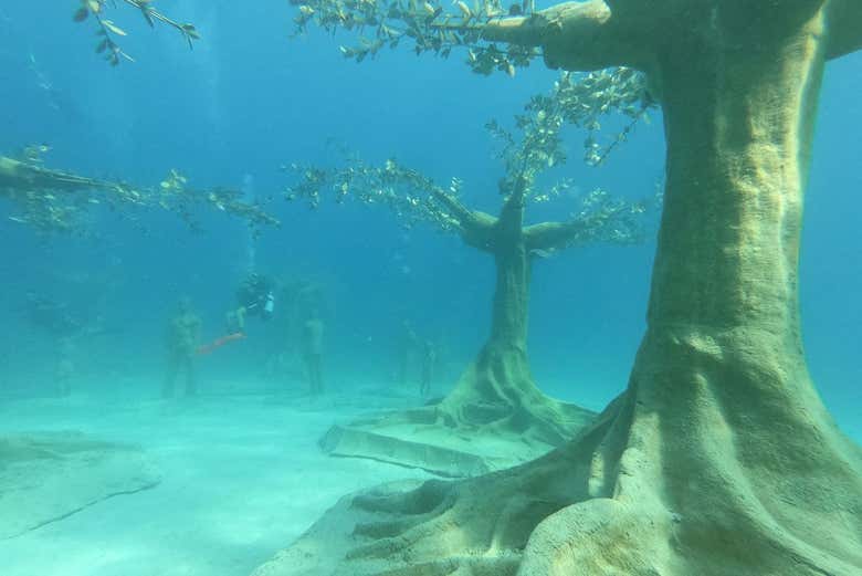 Underwater trees in Ayia Napa