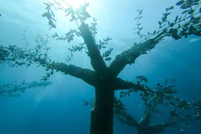 Sculpture of a submerged tree