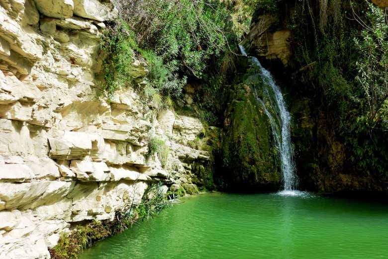 Cascada Adonis