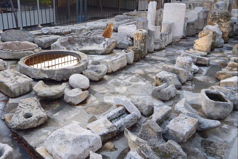 Make new friends during your visit